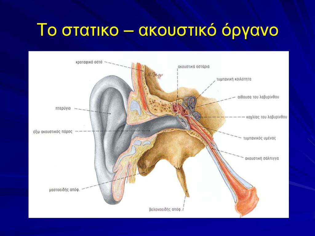 Ζάλη & Ίλιγγος